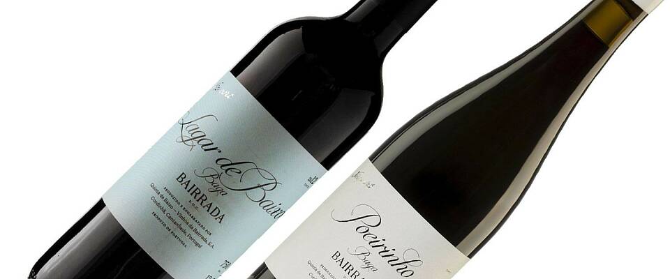 Denne vinen og druesorten slutter aldri å fascinere