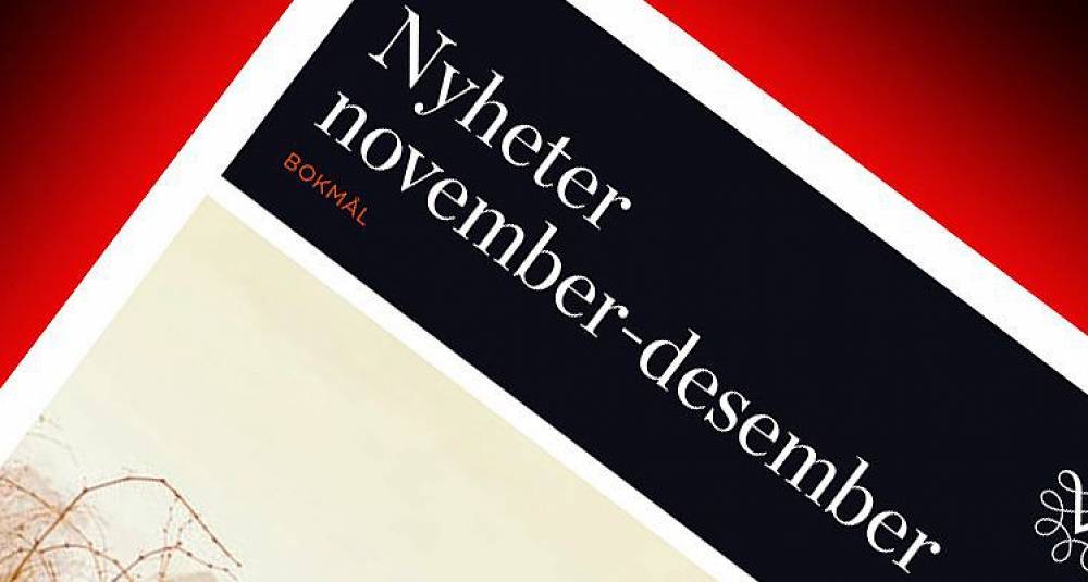 Nyhetene på polet november 2013 - musserende