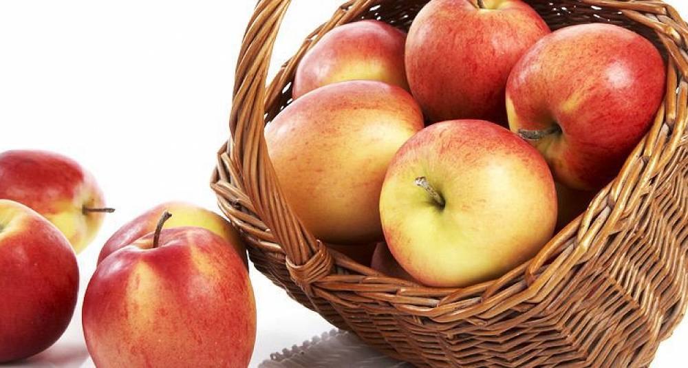 Her kan du lære om det som gjør norske epler så gode