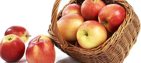 Her kan du lære om det som gjør norske epler så gode