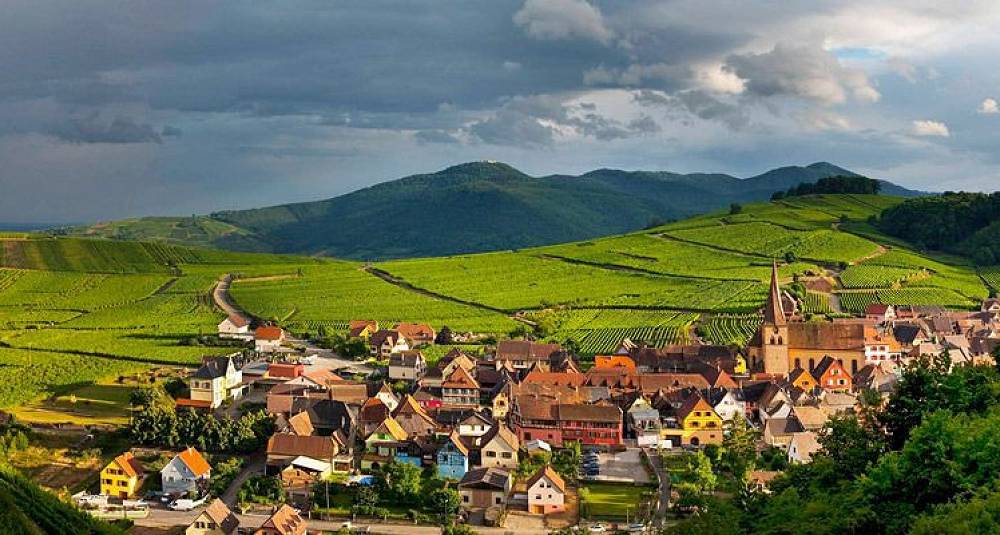 Velkommen til Alsace Vindag 2014