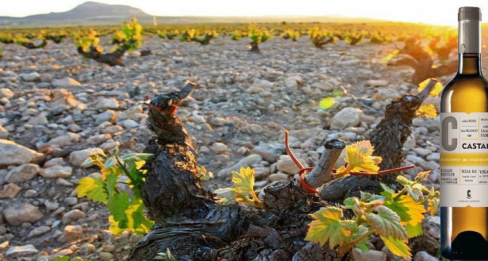 Vin som er perfekt for et stramt budsjett