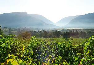 Lær alt om vinene fra den fabelaktige Rhône-dalen – Vinkurs 2. februar i Oslo