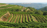 Test av Côtes du Rhône Villages  - Vinsobres, Rasteau, Ventoux og Grignan-Les-Adhémar