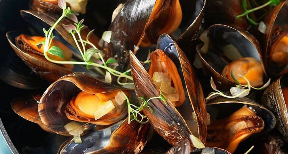 Blåskjellene smaker himmelsk med en klunk cognac