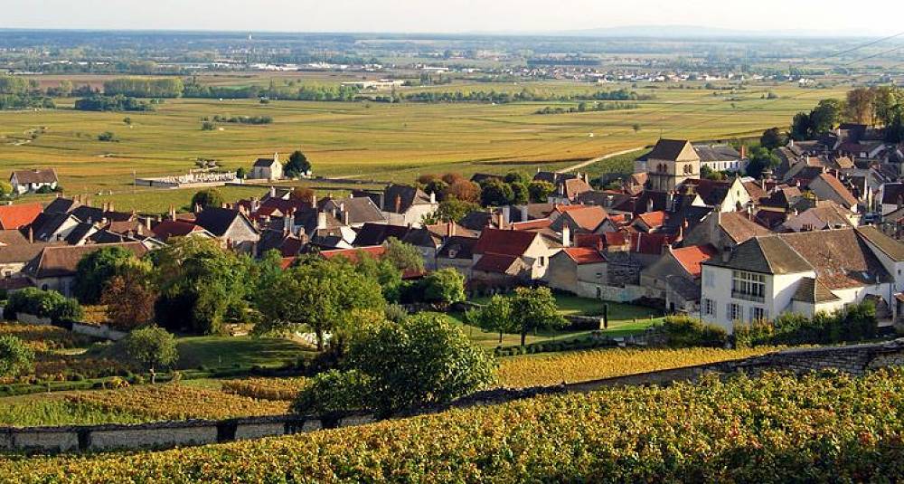 Test av røde burgundere fra 2011 - Côte de Beaune