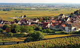 Test av røde burgundere fra 2011 - Côte de Beaune