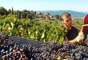 Vinkurs 16. september i Oslo - Slik skal viner fra Chianti smake