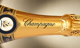 Den store champagneguiden - Vintage