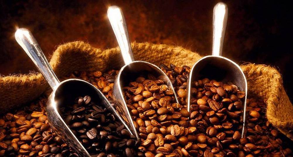 Klimaendringer truer kaffebønne