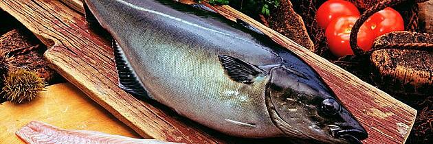 Nyttig å vite om seien