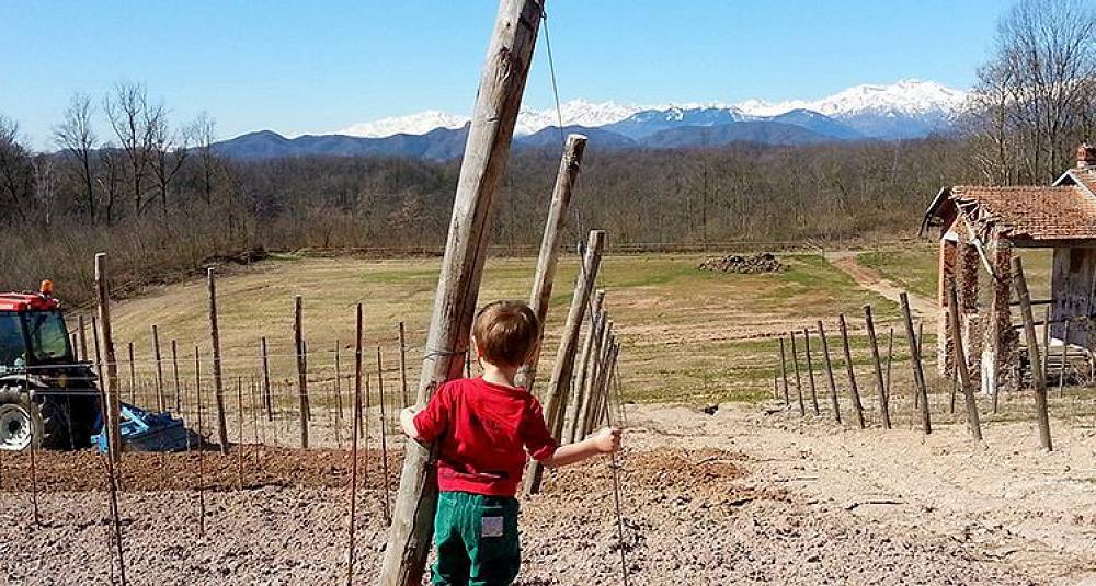 Knallkjøp fra Piemonte Barbaglia Ardeo 