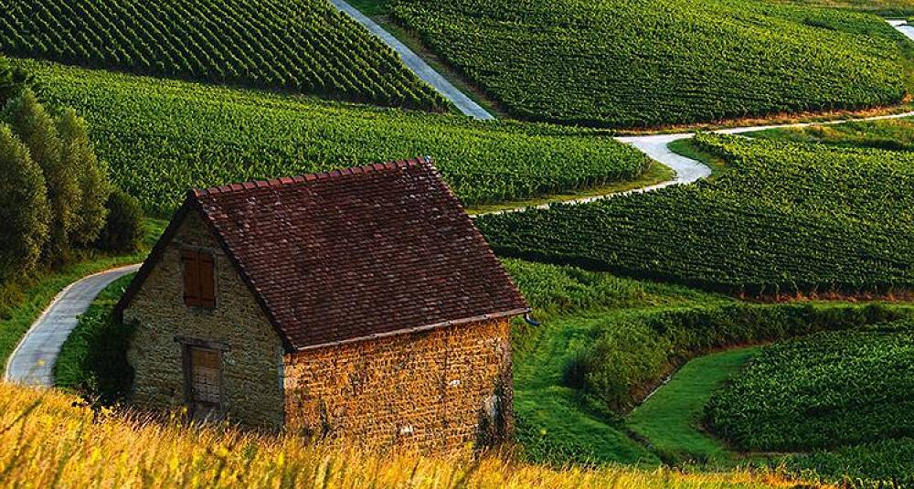 Bli kjent med vinregionen Jura