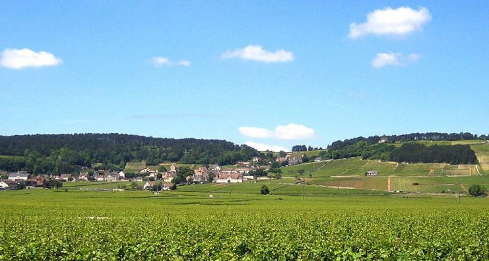 Svindel rulles opp i Burgund