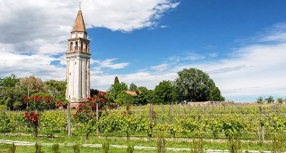 Venezia byr på enda mer vin