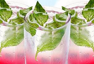 Sapphire Blueberry & Basil Collins