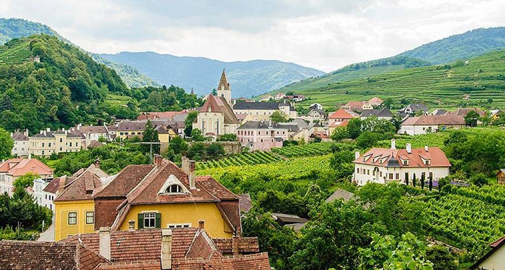 Bedre enn dette blir knapt østerriksk riesling