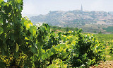 Test av Rioja 2010-årgangen - Crianza