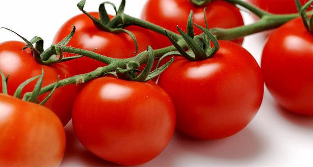 Dyrk tomatene selv. Det er enklere enn du tror