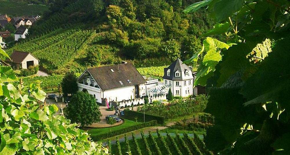 Her lages Tysklands mest etterspurte rødvin