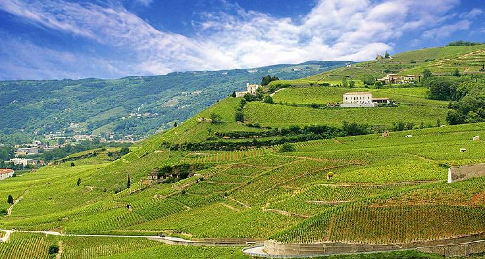 Lær om Frankrikes fantastiske viner av en ekspert