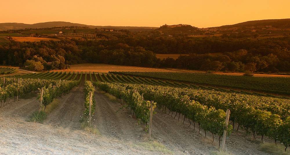 Enestående smaking av vin fra Toscana