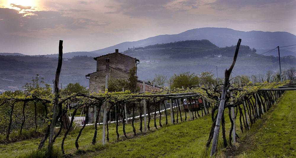 Smak topp amarone i flere årganger