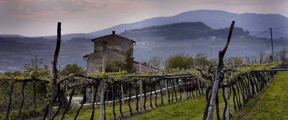 Smak topp amarone i flere årganger