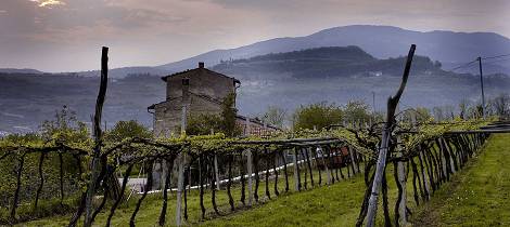 Smak topp amarone i flere årganger