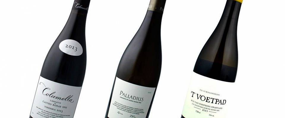 Her har du Sør-Afrikas aller beste viner