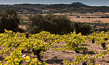 Sierra de Gredos-produsent hardt rammet av brann