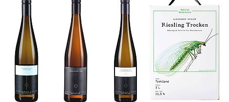 Ja visst skal du drikke riesling i november