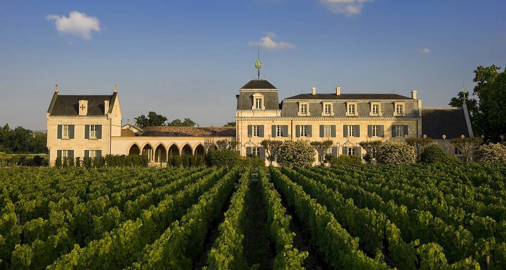 Eksepsjonell bordeaux-smaking med en vaskeekte prins