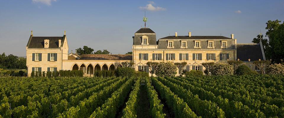 Eksepsjonell bordeaux-smaking med en vaskeekte prins