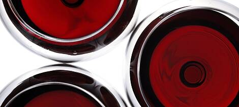 Smak Piemontes beste viner inkludert Master Class