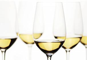 Smak enestående rieslinger fra Tysklands beste produsenter