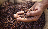 Vi kan takke kvinnene i Rwanda for all den gode kaffen