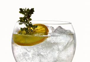 Thyme Is On Our Side Gin Tonic drinkoppskrift