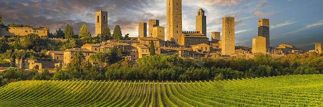 Lær om Italias viner av Master of Wine, Mai Tjemsland