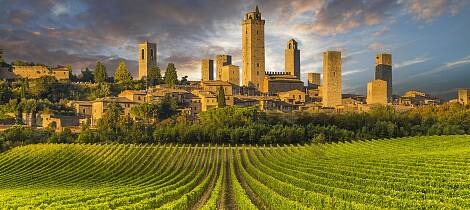 Lær om Italias viner av Master of Wine, Mai Tjemsland