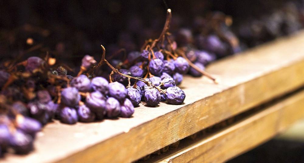 Bli med å smake amarone fra de beste årgangene