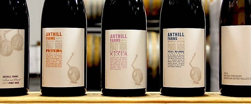 Må prøves: Californisk pinot noir i virkelig toppklasse