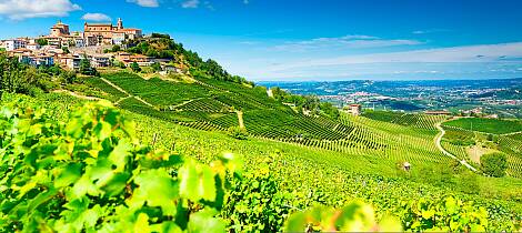 Sett av en lørdag ettermiddag for å smake uimotståelige viner fra Barolo