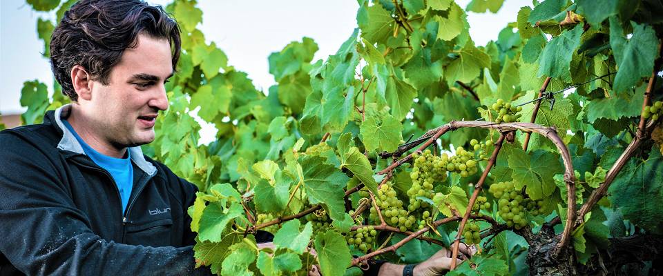 Denne californiske vinmakeren lager chardonnay på grand cru-nivå