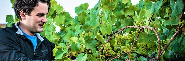 Denne californiske vinmakeren lager chardonnay på grand cru-nivå