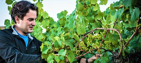 Denne californiske vinmakeren lager chardonnay på grand cru-nivå