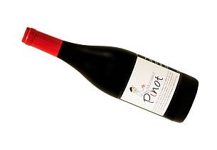 Sikkert kort til høstkosen: Sørfransk pinot noir til knallgod pris