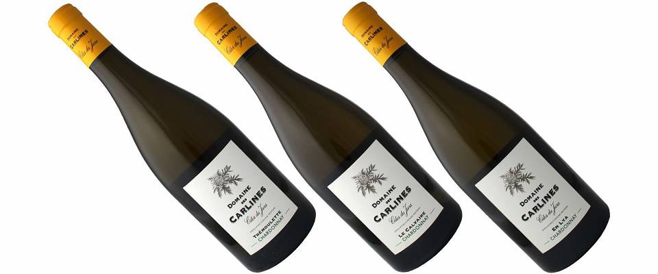 Om du ikke får nok av Jura-vin, er dette ditt neste prosjekt