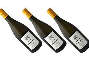 Om du ikke får nok av Jura-vin, er dette ditt neste prosjekt