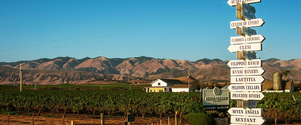 Lær alt om hvorfor californiske viner er så populære nå. Master of Wine, Mai Tjemsland tar deg med på en smaksrunde